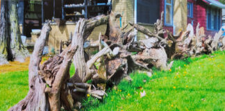 stump fence