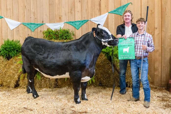 GRAND CHAMPION MARKET BEEF: SILAS MAYNE