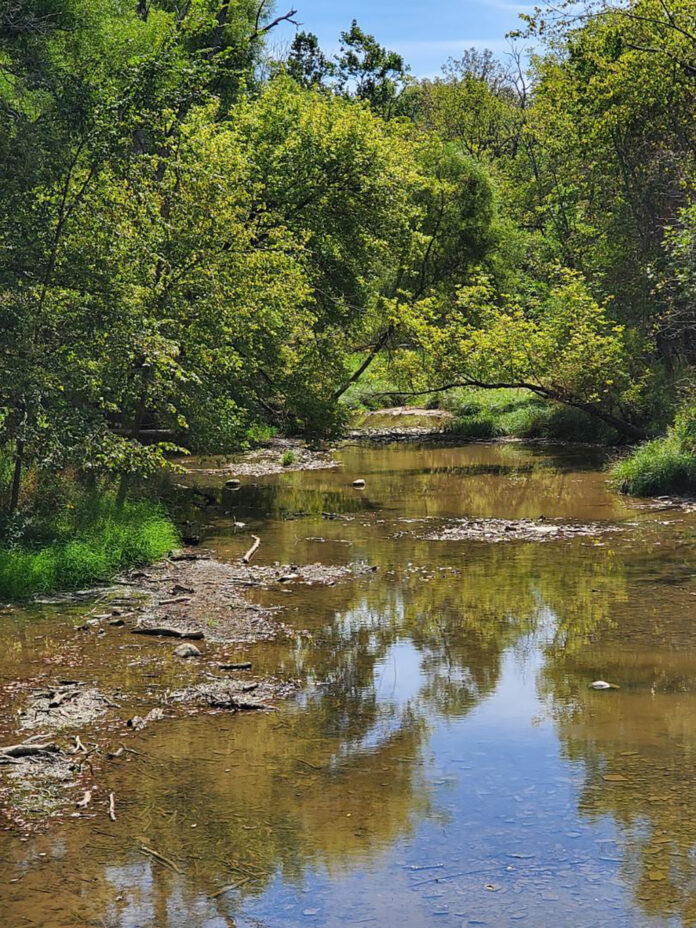 blanchard river blanchard river