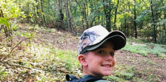 gray squirrel luke turner