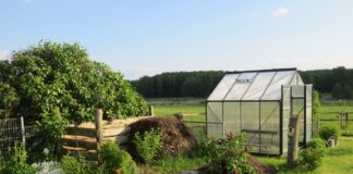 greenhouse