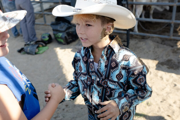Mutton busting