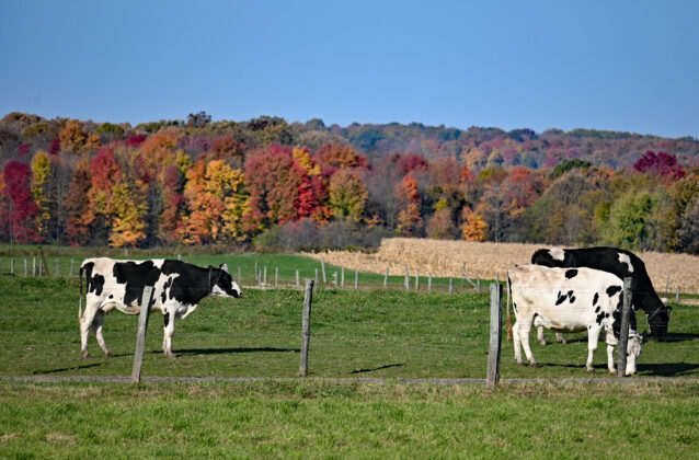 Geauga County fall