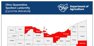 Ohio spotted lanternfly quarantine