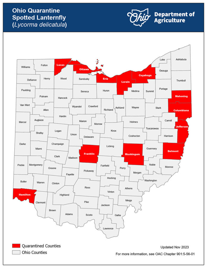 Ohio spotted lanternfly quarantine Ohio spotted lanternfly quarantine