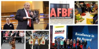 afbf convention