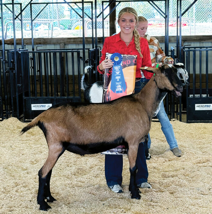 ashland ffa copy