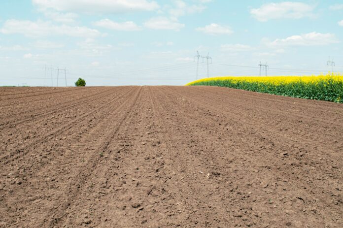 Photo by Marko Antonovic a plowed field with power lines in the distance