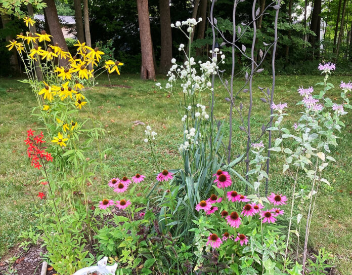 native garden blooming-WEB