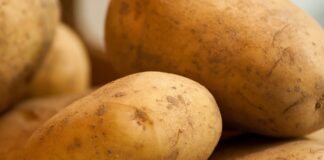 potatoes