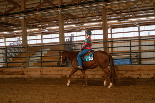 Ugly Christmas Sweater Horse Show
