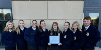 american degree northwestern ffa
