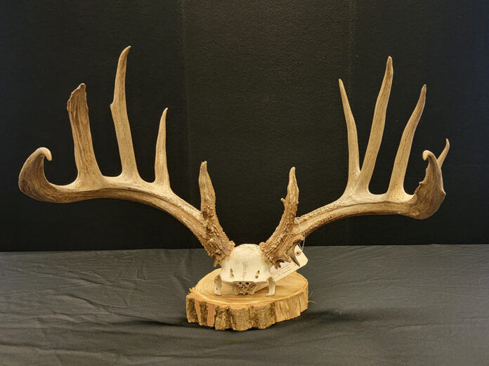 antlers antlers