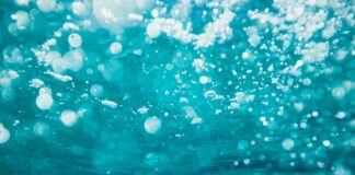 underwater photography of water bubbles