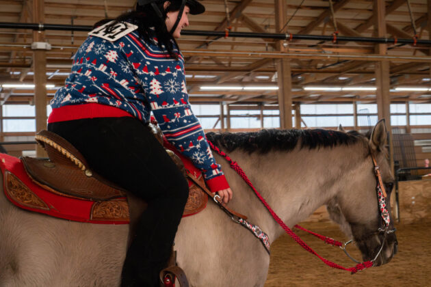 Ugly Christmas Sweater Horse Show