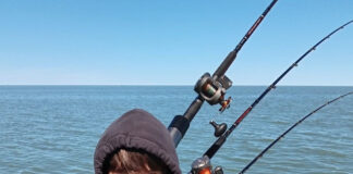 fish hatch