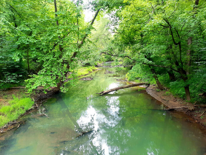 raccoon creek