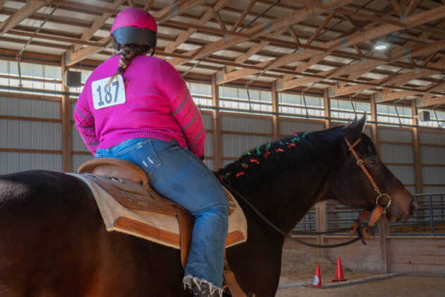 Ugly Christmas Sweater Horse Show