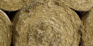 round hay bales