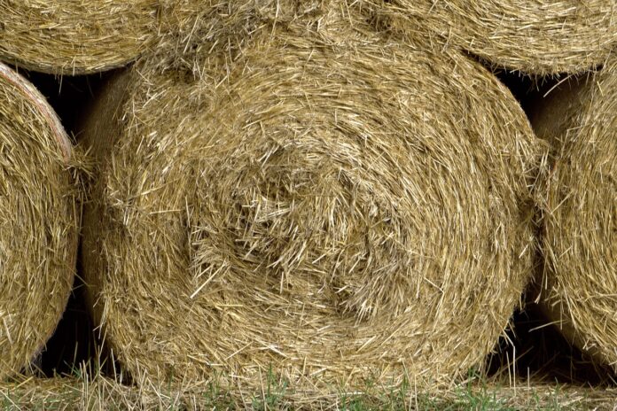 round hay bales round hay bales