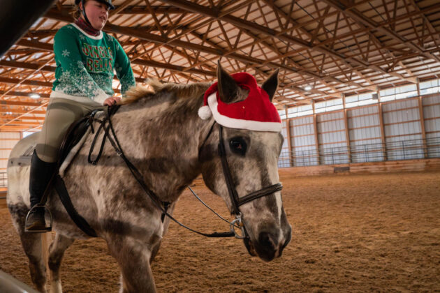 WVU Ugly Christmas Sweater Horse Show
