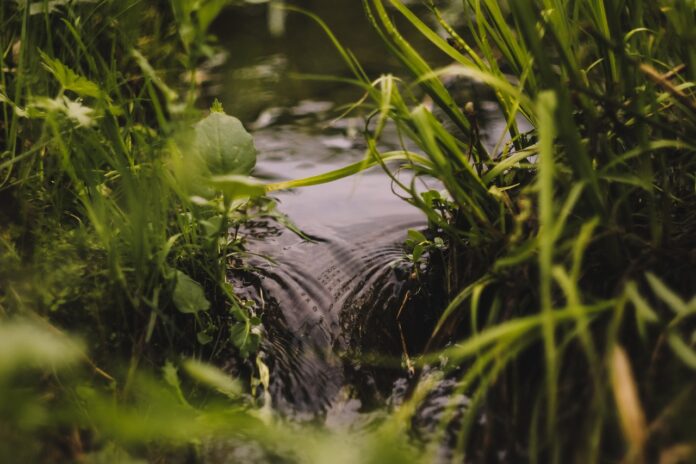 spring water spring water