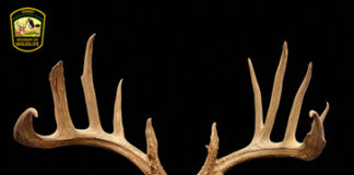 alexander buck rack
