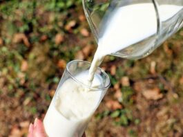 milk