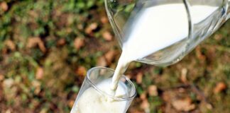 milk