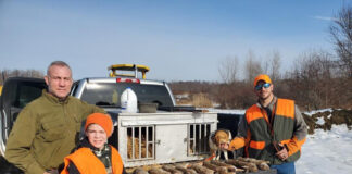 rabbit hunt