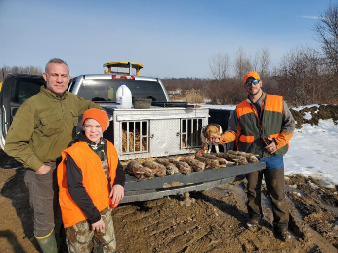 rabbit hunt rabbit hunt