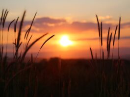 sunset