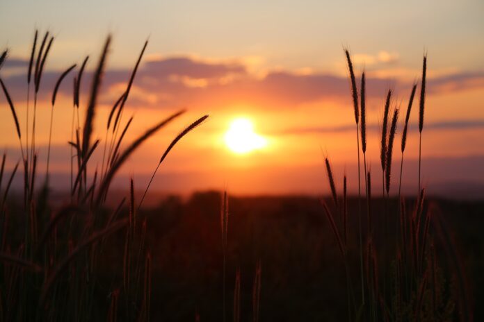 sunset sunset