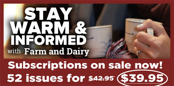 Warm Homepage Banner